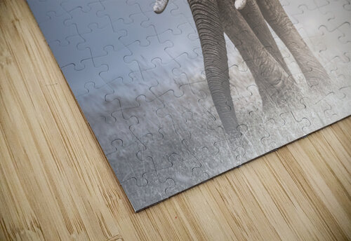 In Between Lights Melanie Delamare puzzle