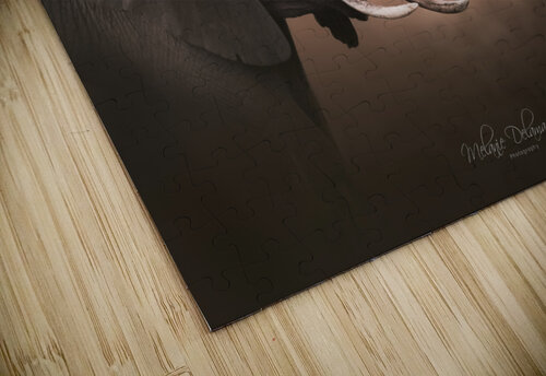 Elephant at Dawn Melanie Delamare puzzle