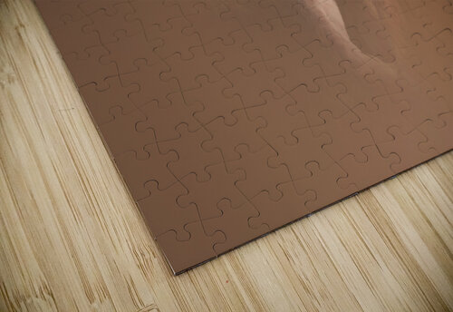 Hungry Eyes Melanie Delamare puzzle