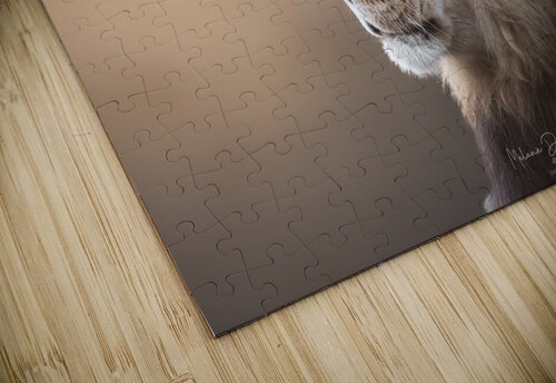 Golden Lion Melanie Delamare puzzle