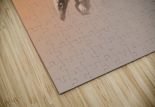Golden Pangolin Melanie Delamare puzzle