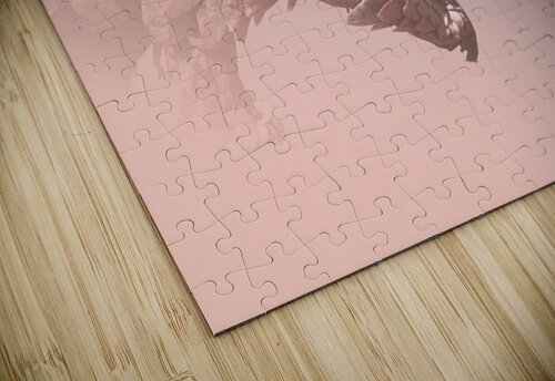 Pangolin Illusion Melanie Delamare puzzle