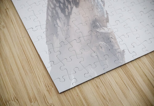 ZAZU Style Melanie Delamare puzzle
