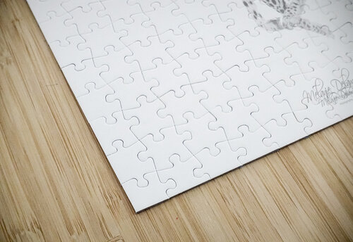 Speedy Cheetah Melanie Delamare puzzle