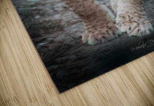 Simbas Look Melanie Delamare puzzle
