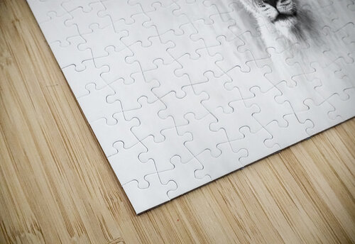 Heads Up  Melanie Delamare puzzle