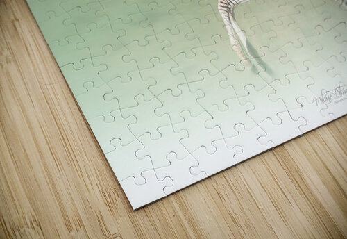 Running Zebra Melanie Delamare puzzle