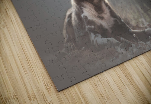 Backlight Beauty Melanie Delamare puzzle