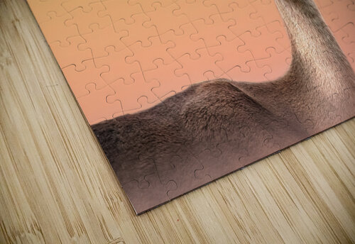 Dreamy Impala Melanie Delamare puzzle