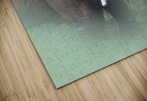 Trunk Attitude Melanie Delamare puzzle
