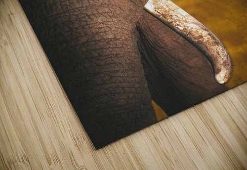 Golden Bully Melanie Delamare puzzle