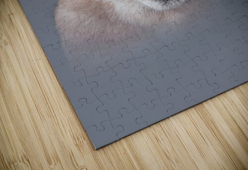 Feisty Kitty Melanie Delamare puzzle