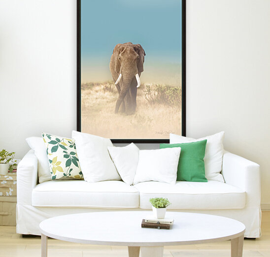 The Elephants Path Reproduction