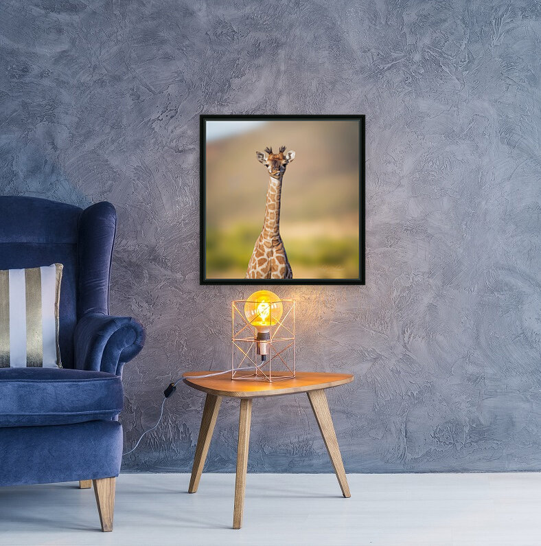 Silly Giraffe Reproduction