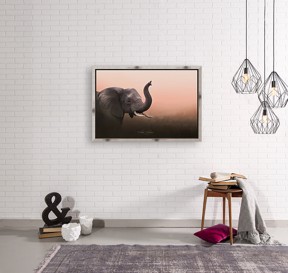 Elephant at Dawn Reproduction