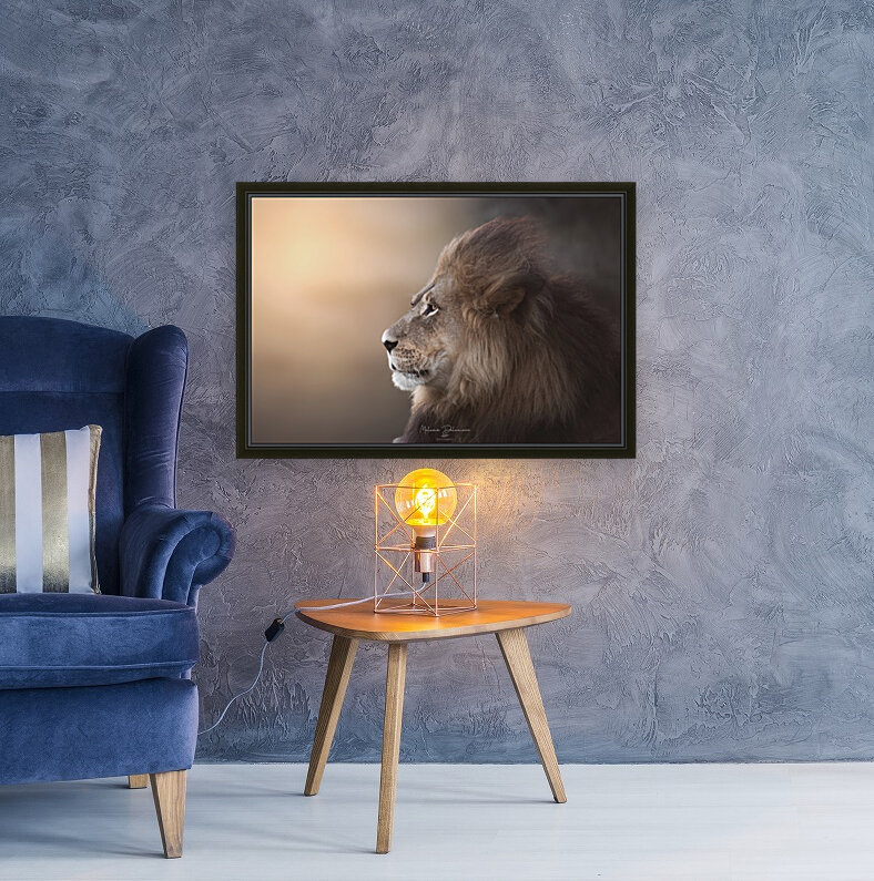 Golden Lion Reproduction
