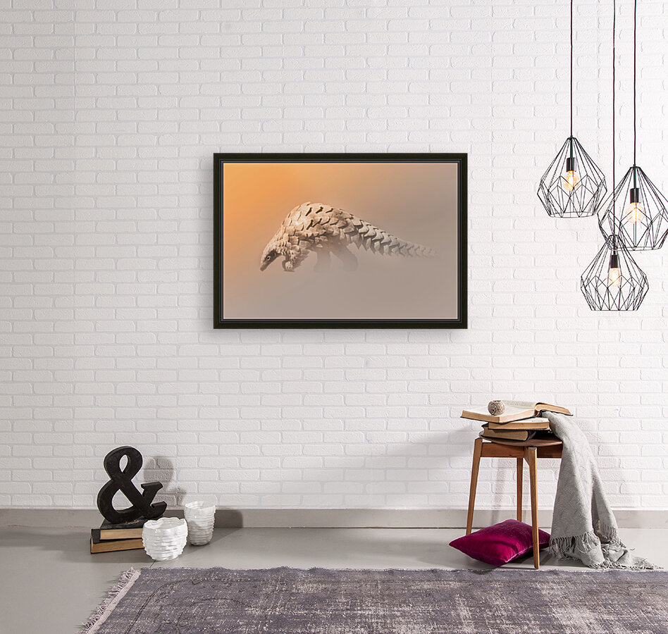 Golden Pangolin Reproduction