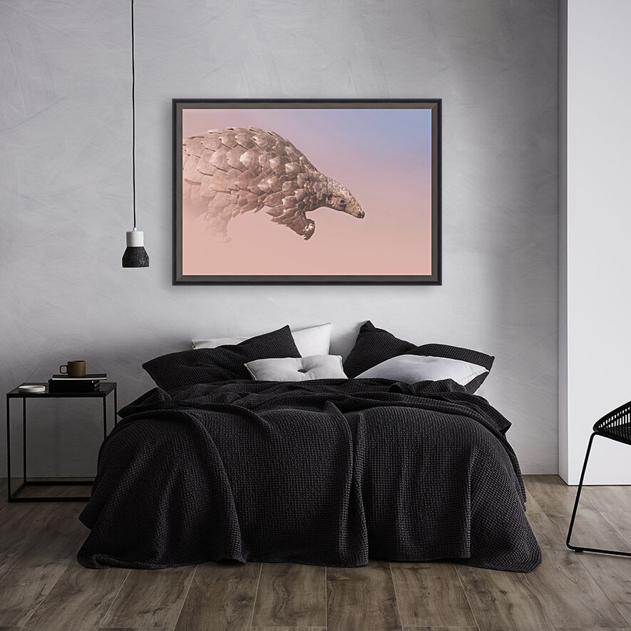 Pangolin Illusion Reproduction