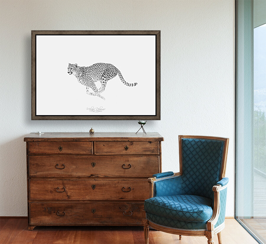 Speedy Cheetah Reproduction