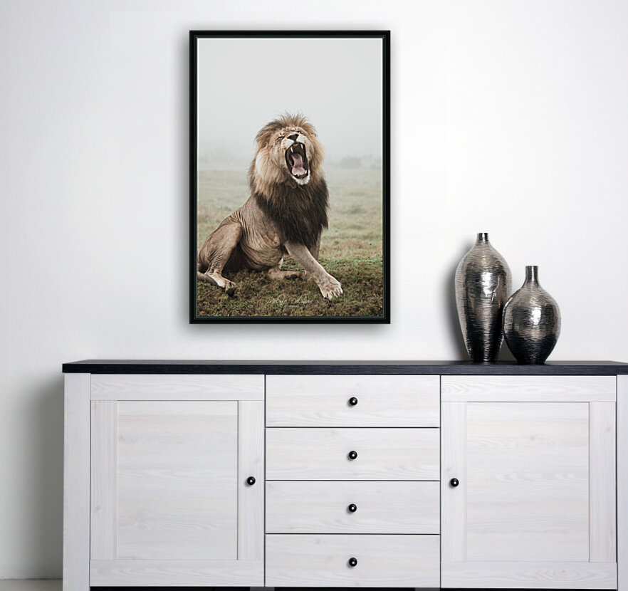 Lion Voice Reproduction