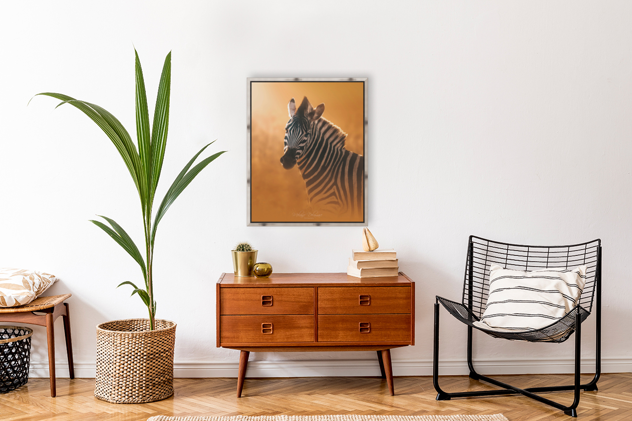 Gleaming Zebra Reproduction