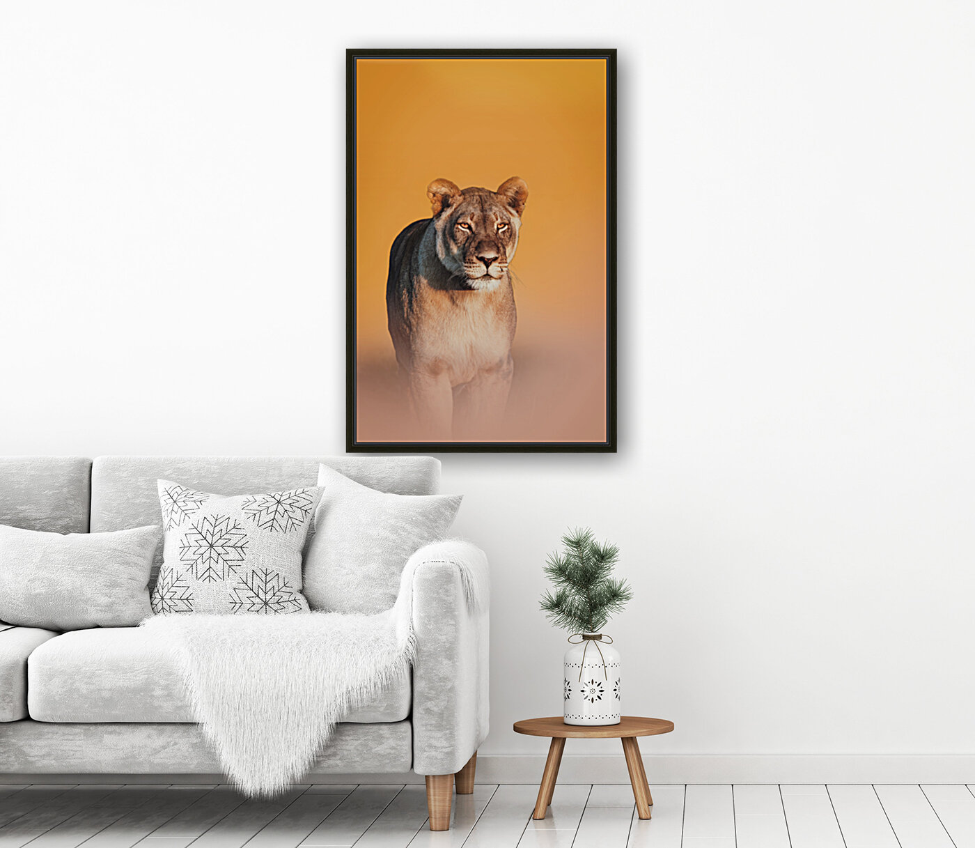 Lioness Stare Reproduction