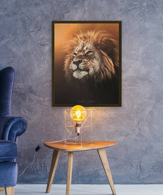 Golden Hour Lion by Melanie Delamare