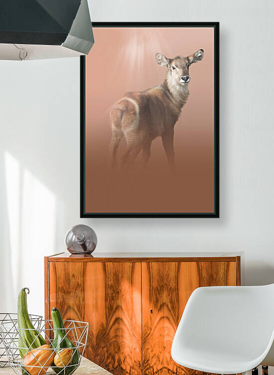 Striking Waterbuck by Melanie Delamare