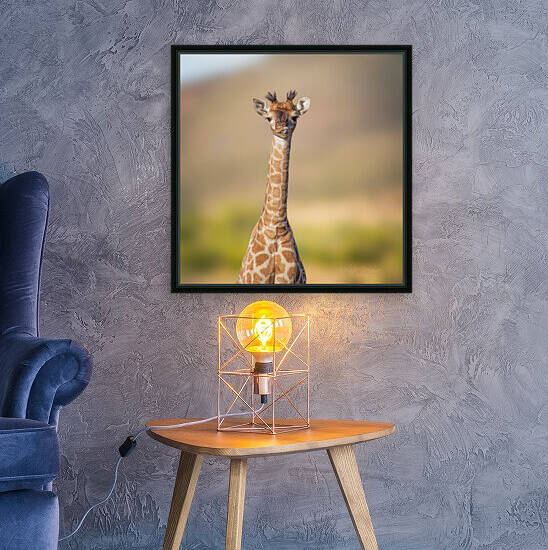 Silly Giraffe by Melanie Delamare