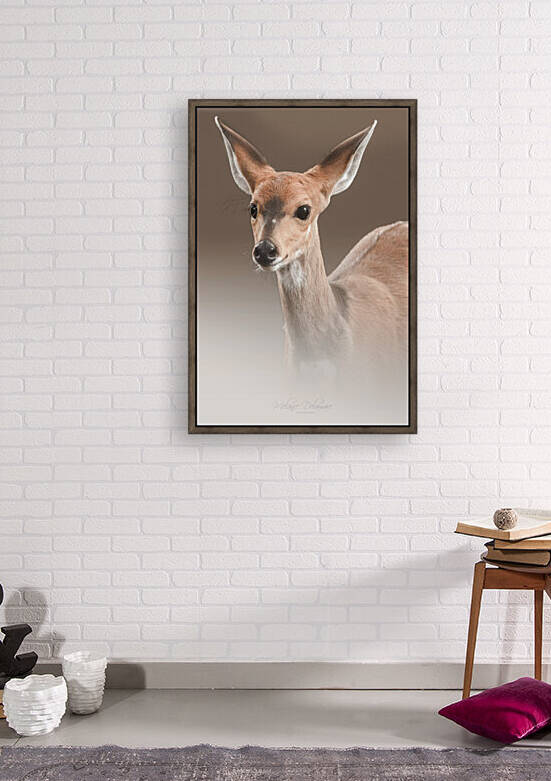 Bushbuck Beauty by Melanie Delamare