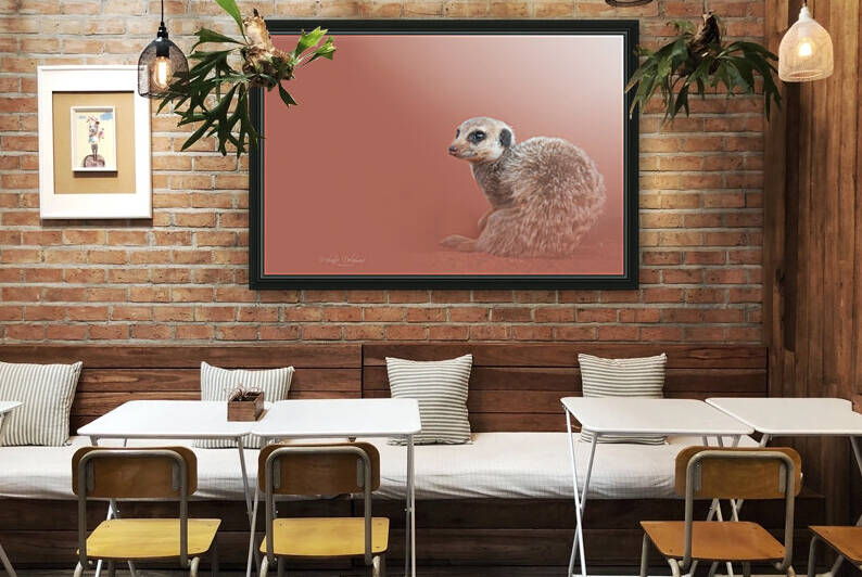 Kalahari Meerkat by Melanie Delamare