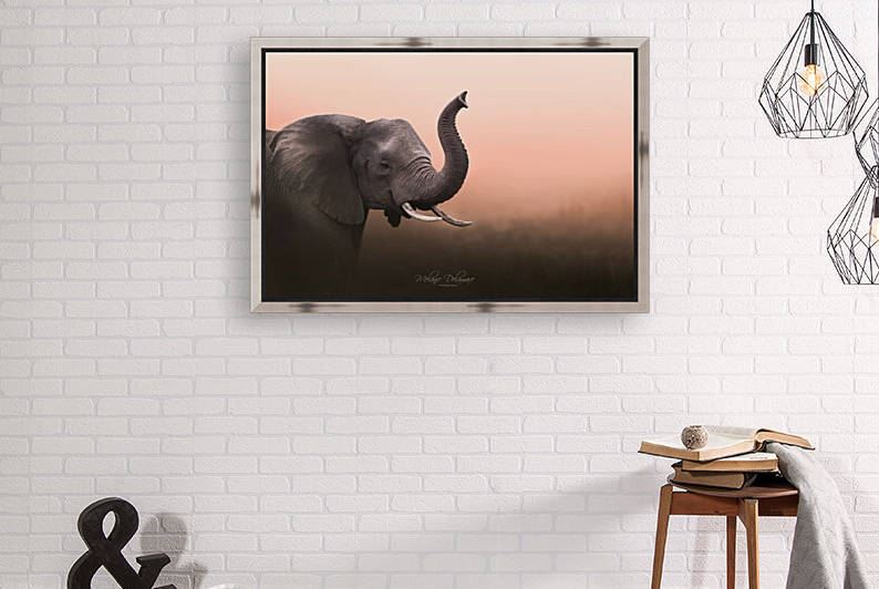 Elephant at Dawn by Melanie Delamare