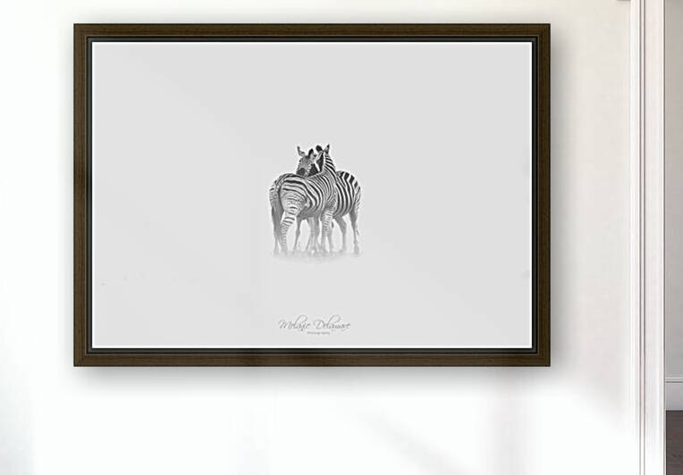 Zebra Love by Melanie Delamare