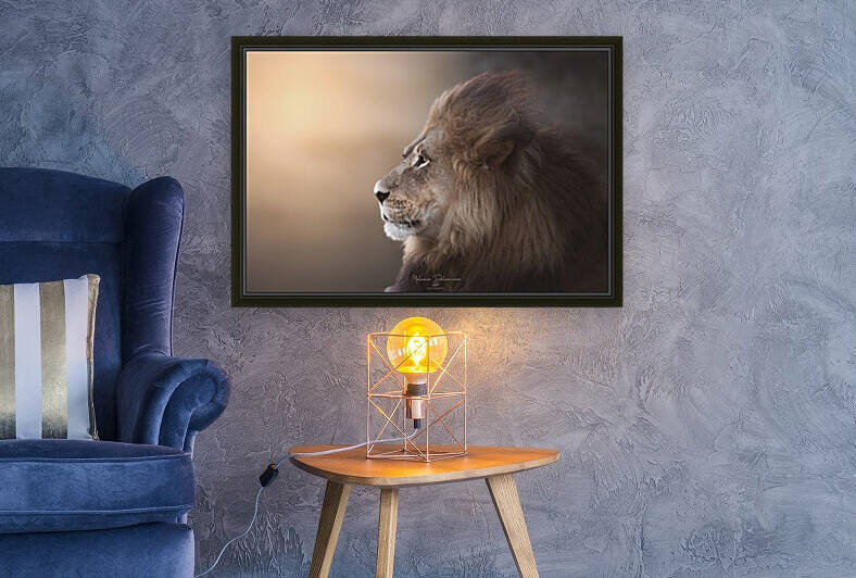 Golden Lion by Melanie Delamare