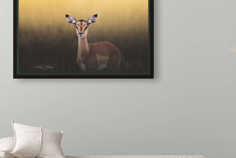 Yellow Light Impala by Melanie Delamare