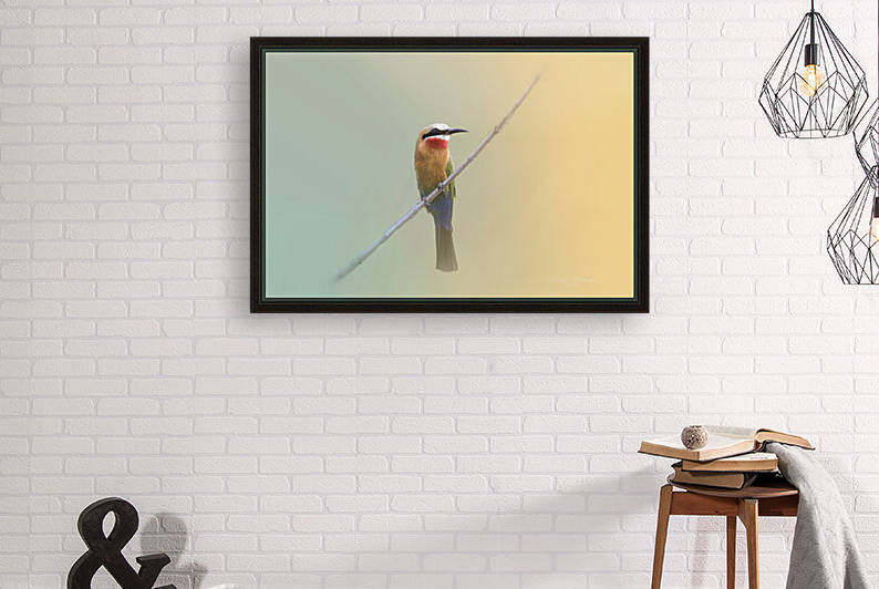 White Fronted Bee Eater by Melanie Delamare