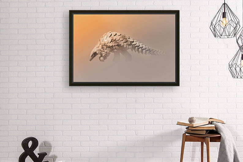 Golden Pangolin by Melanie Delamare