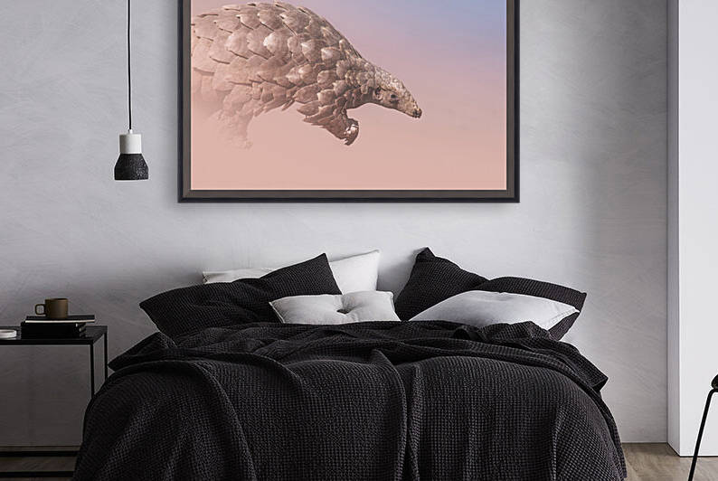 Pangolin Illusion by Melanie Delamare