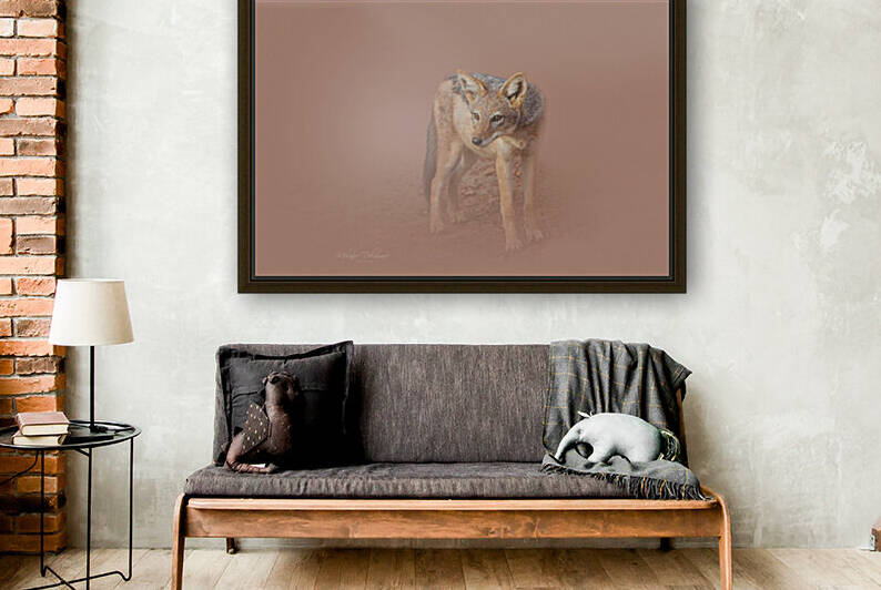 The Lurking Jackal by Melanie Delamare