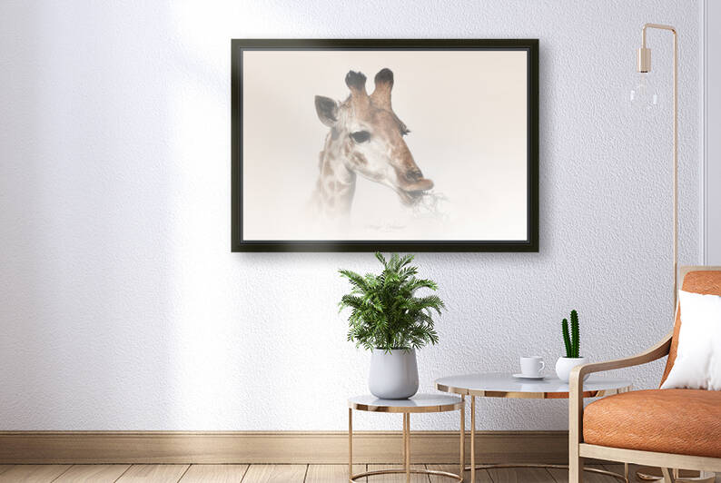 Giraffe and Acacia by Melanie Delamare