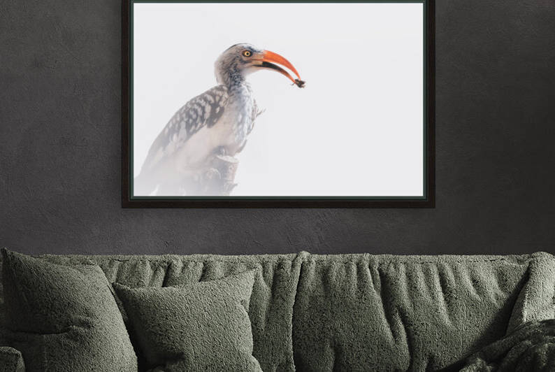 ZAZU Style by Melanie Delamare
