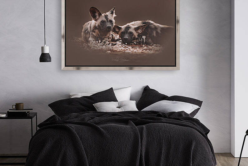Wild Dog Brothers by Melanie Delamare