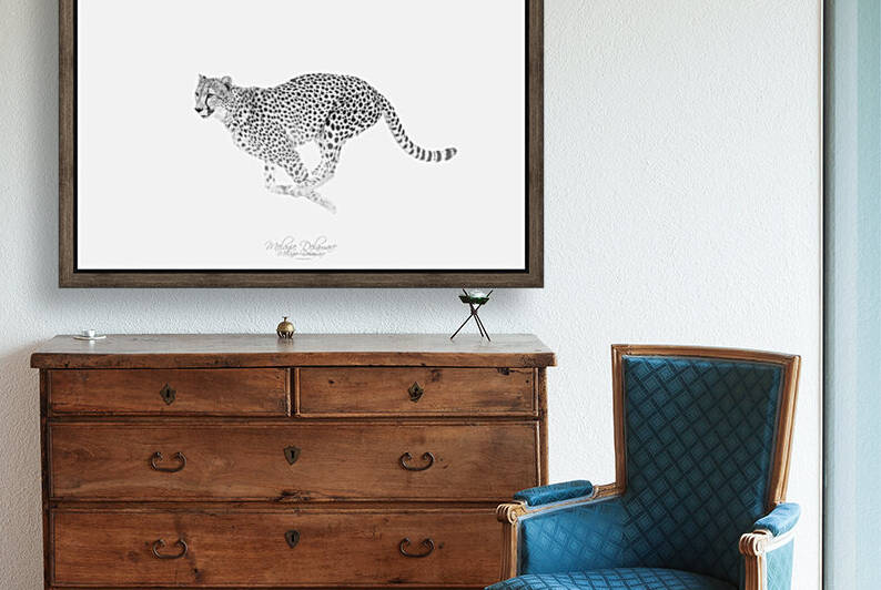 Speedy Cheetah by Melanie Delamare