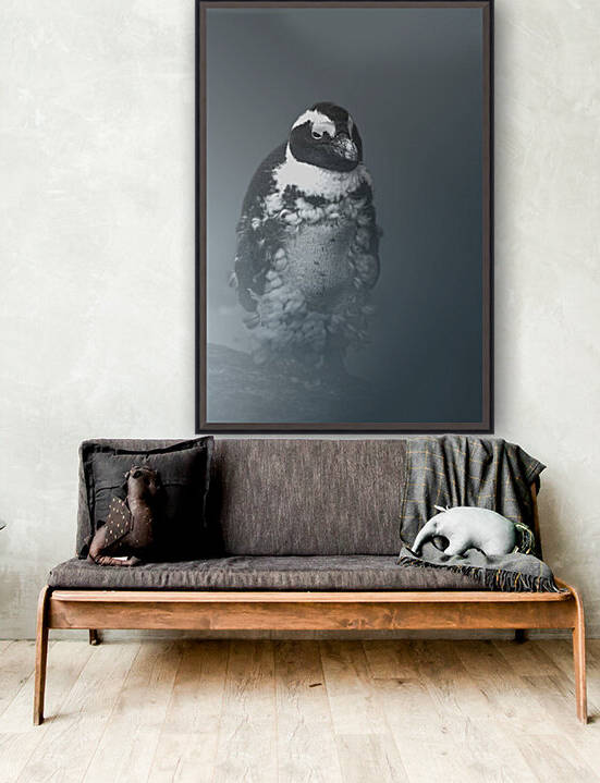 Fluffy African Penguin by Melanie Delamare