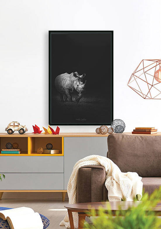 Out Of The Shadows - White Rhino by Melanie Delamare