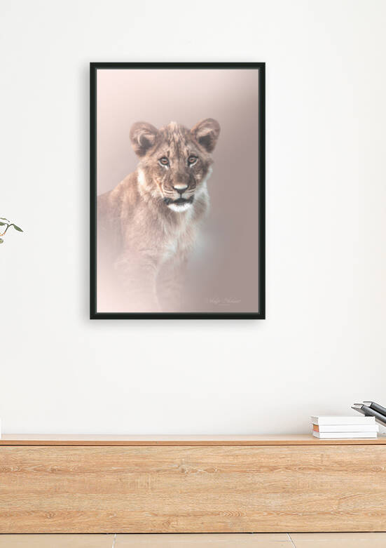 Cubby Portraiture by Melanie Delamare