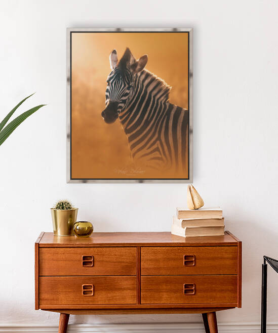 Gleaming Zebra by Melanie Delamare