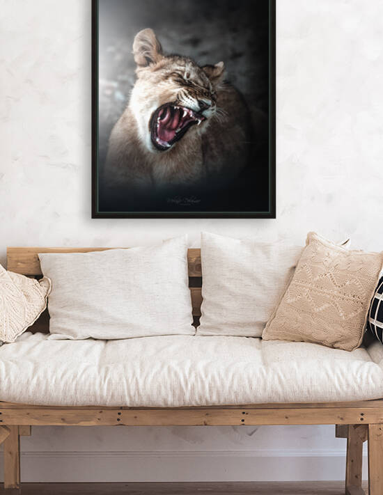 Blinded Cub by Melanie Delamare