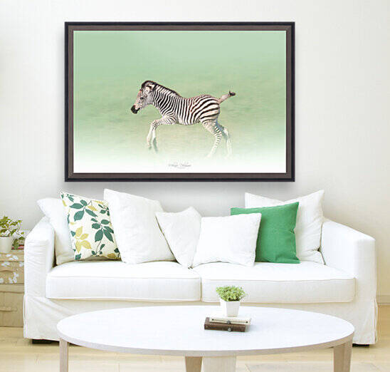 Running Zebra by Melanie Delamare