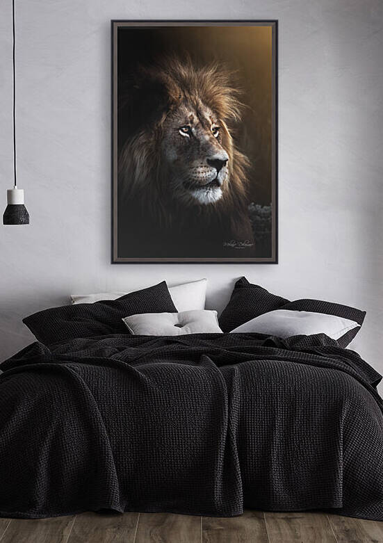 Glowing Lion by Melanie Delamare